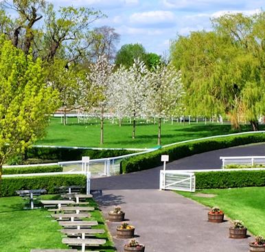 Kempton Park Racecourse