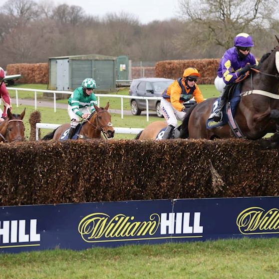 LORD DU MESNIL 117 Haydock (1).jpg