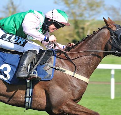 LORD SPARKY ANNOUNCED AS RETRAINING OF RACEHORSES “HORSES FOR COURSES” AMBASSADOR FOR HUNTINGDON RAC