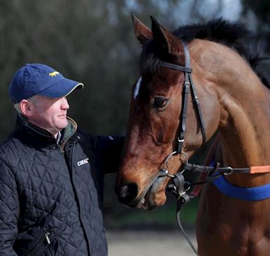 Lostintranslation on course for next week's Magners Cheltenham Gold Cup