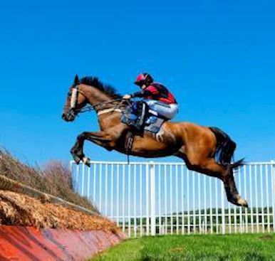 Lincolnshire racecourse set for Boxing Day races