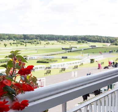 Meetings & Conferences at Market Rasen