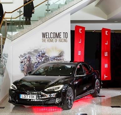 Exhibitions at Newmarket