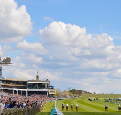 Newmarket Venues Offer 2026