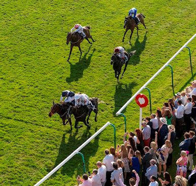 Newmarket Racecourses Annual Badges