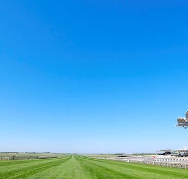 Location Filming at Newmarket