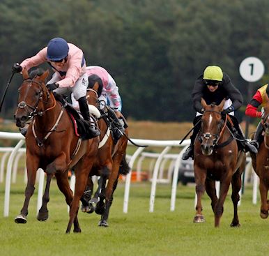 “Amazing support” for Lindsey Lodge Hospice at inaugural Market Rasen Family Raceday