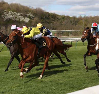 Nottingham Raceday Round Up: Sir Ron Priestly wins after 571 days away and Chef Ashton serves up a t