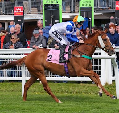 Dianne Sayer and red-hot Redarna look to finish Carlisle’s brilliant summer season in style