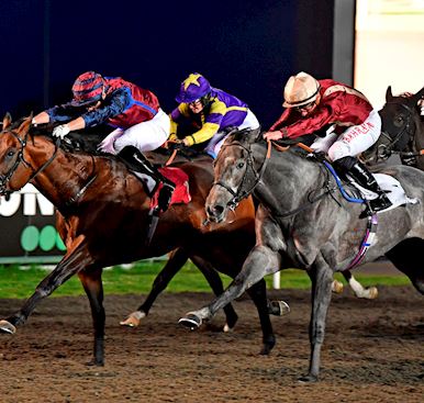 WARD HOPES ROMAN CAN CONQUEROR HER RIVALS AND GIVE HIS SEASON AN EARLY BOOST IN KEMPTON PARK FEATURE