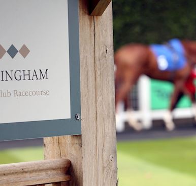 Jeremy Bradbeer to succeed Richard Pilkington as chair of Nottingham racecourse from 2023