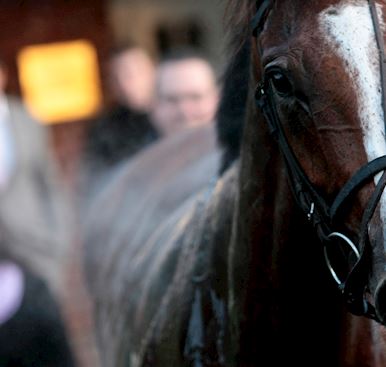 Racecourse Committee Members