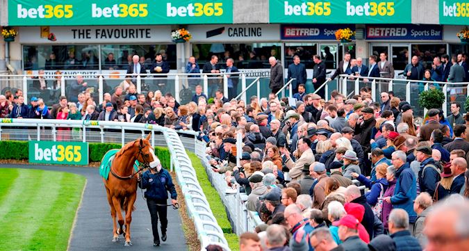 Sandown Park Racecourse