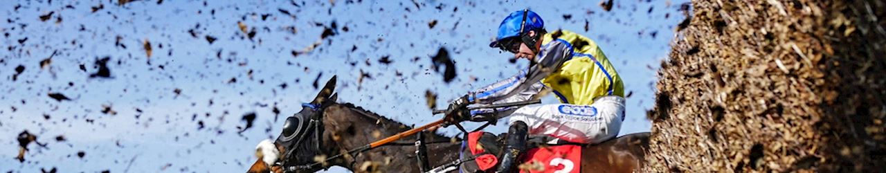 The Sandown Park Going