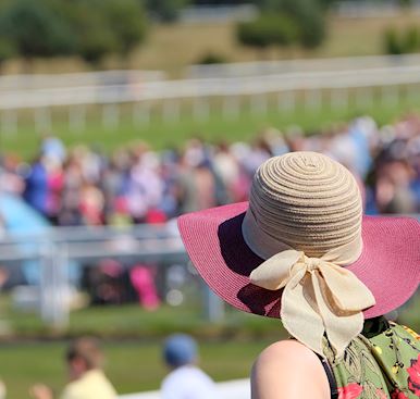 Caravan Park Terms & Conditions