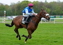 The Flier Begley.jpg