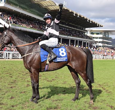 PERTEMPS NETWORK FINAL HANDICAP HURDLE REACTION AND STATISTIC