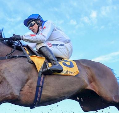 Defending champion Protektorat the 3-1 Favourite as 15 entered for Grade One Betfair Chase