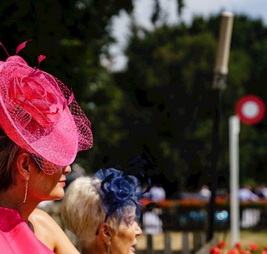 Follow us on Instagram