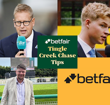 2025 Betfair Tingle Creek Chase Tips