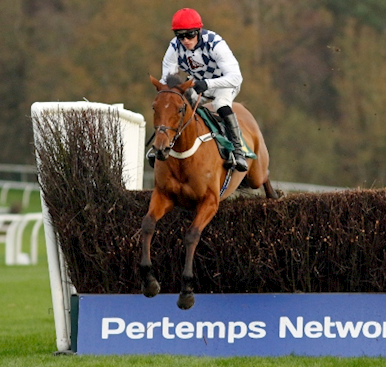 26th November Raceday Report